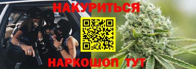 гидропоника Будённовск