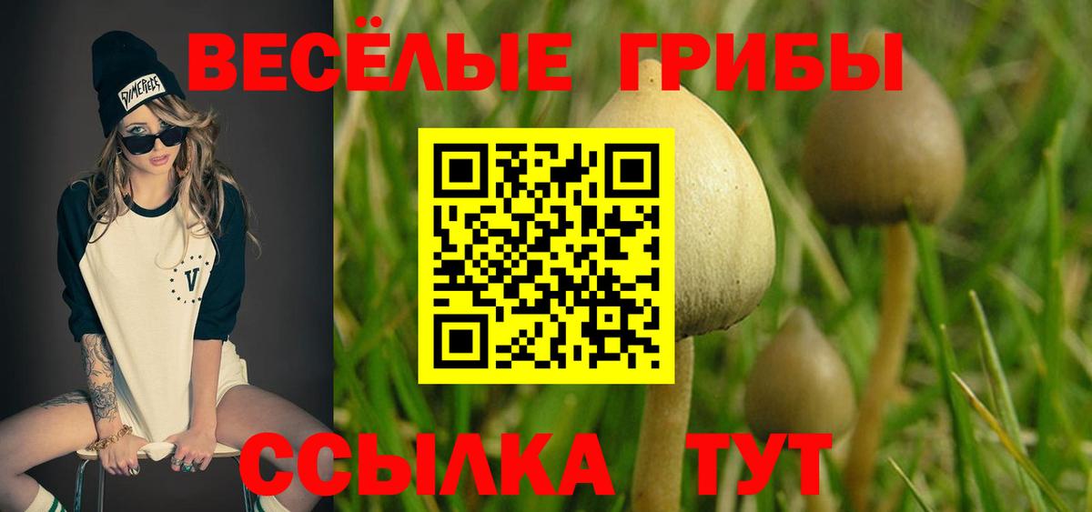Псилоцибиновые грибы прущие грибы  закладки  Ростов Великий  Псилоцибиновые грибы Cubensis  Вход с VPN 